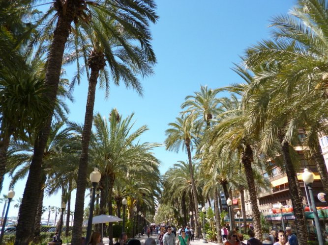 Alicante,Spain-promenade1.1