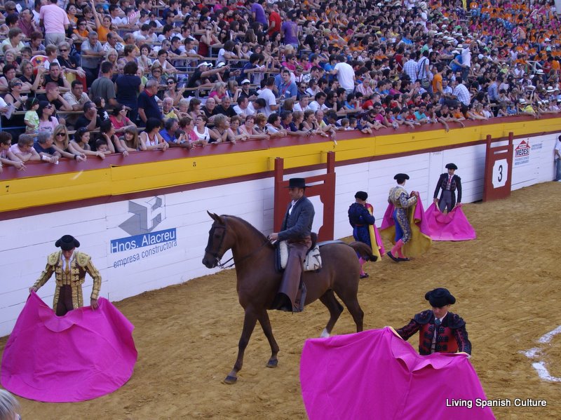 Bullfights