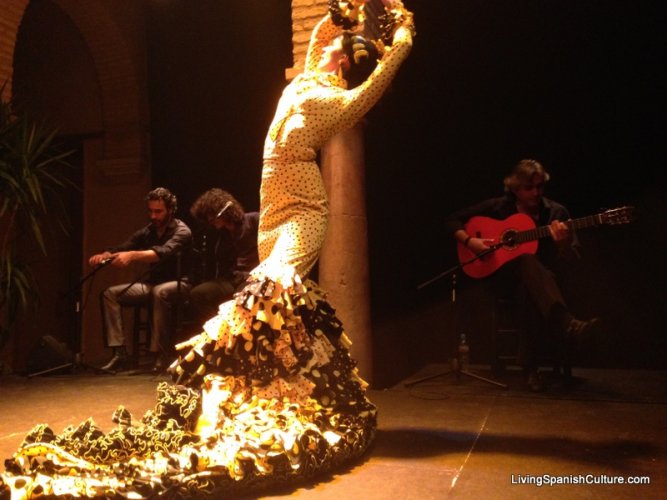 Flamenco spectacle