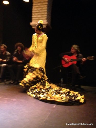 Flamenco spectacle