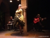 Flamenco spectacle