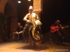 Flamenco spectacle