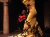 Flamenco spectacle