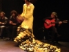 Flamenco spectacle