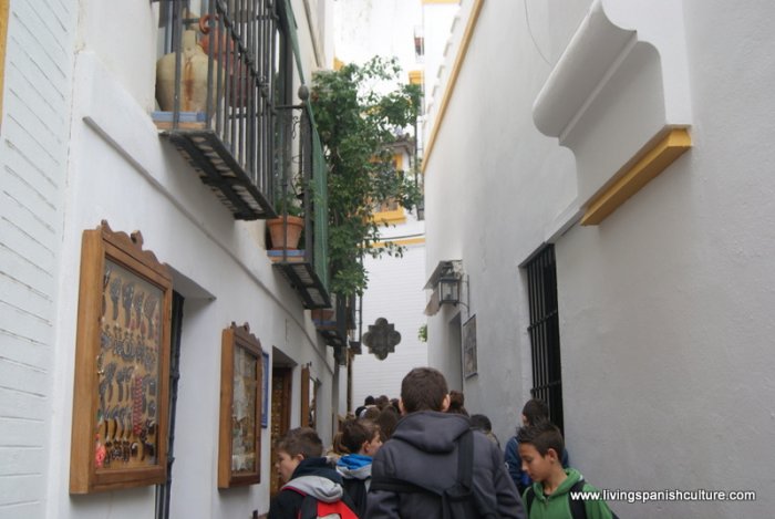 Sevilla,spain,educative tours (7).JPG