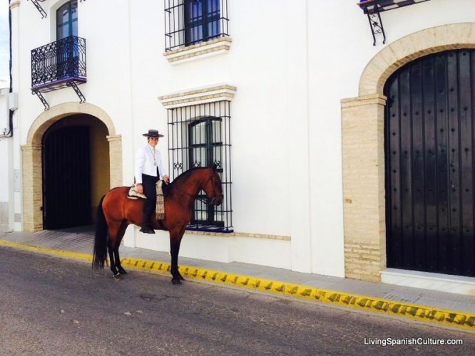 Feria de Sevilla,Spain,Espagne,horseman,cavalier (3)