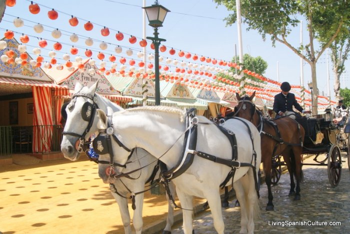 Feria de Sevilla,Spain,Espagne,horseman,cavalier (4)