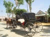 Feria de Sevilla,Spain,Espagne,carriages,voitures (1)