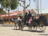 Feria de Sevilla,Spain,Espagne,carriages,voitures (2)