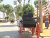 Feria de Sevilla,Spain,Espagne,carriages,voitures (4)