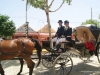 Feria de Sevilla,Spain,Espagne,carriages,voitures (6)