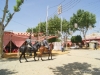 Feria de Sevilla,Spain,Espagne,horseman,cavalier (7)