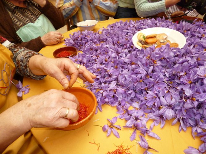 Peel of Saffron