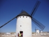 Windmills (3).jpg