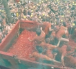 Tomatina de Buñol (Valencia)