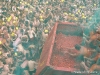 Tomatina de Buñol (Valencia)