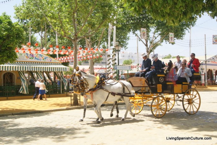 Feria de Sevilla,Spain,Espagne (1)