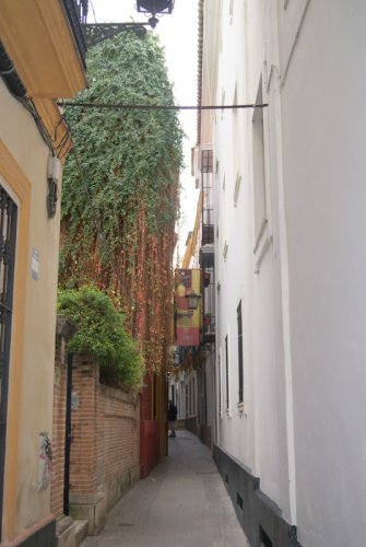 Santa Cruz, Sevilla