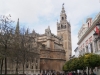 Cathedral & Giralda