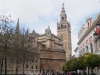 Cathedral & Giralda