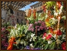 LA OFRENDA-VALENCIA-FALLAS