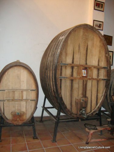 Baronia de Turis wine factory. Turis (Valencia)