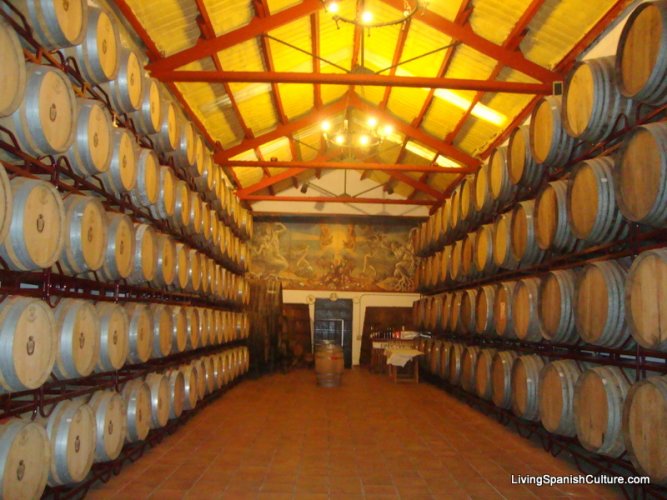 Baronia de Turis wine factory. Turis (Valencia)