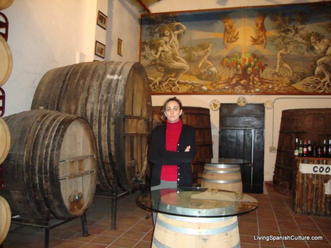 Baronia de Turis wine factory. Turis (Valencia)