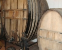 Baronia de Turis wine factory. Turis (Valencia)