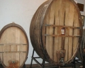 Baronia de Turis wine factory. Turis (Valencia)