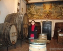 Baronia de Turis wine factory. Turis (Valencia)