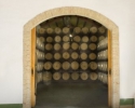 Baronia de Turis wine factory. Turis (Valencia)