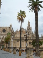 Seville Cathedral