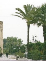 Torre del Oro