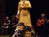 Flamenco spectacle